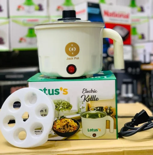 Multi-Functional Electric Cooker and egg boiler